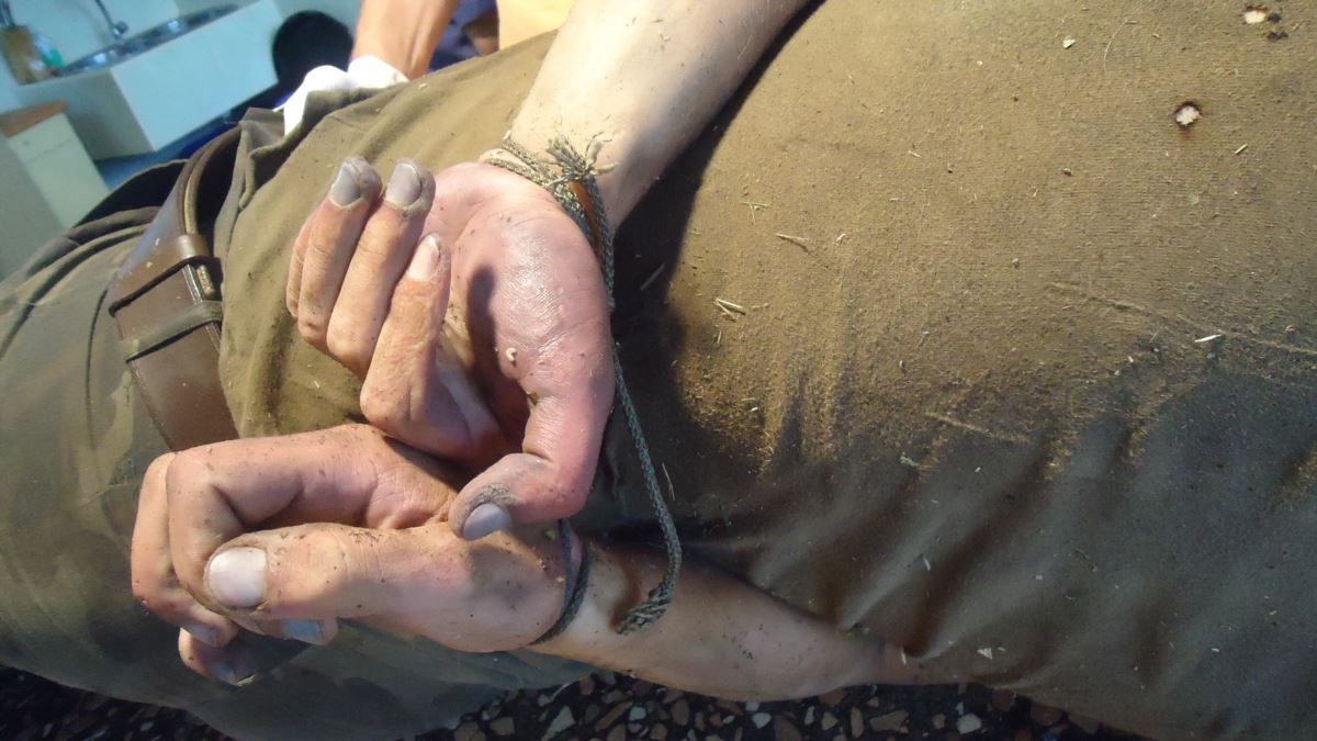 679ECB0F EB98 415F 8608 69BA6EDE9D53 w1200 r1