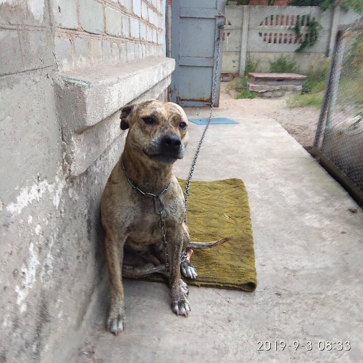 98347698 1133955320318522 8425376158459101184 n