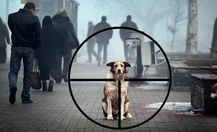 thumb1478361143815505a902 710x434 1