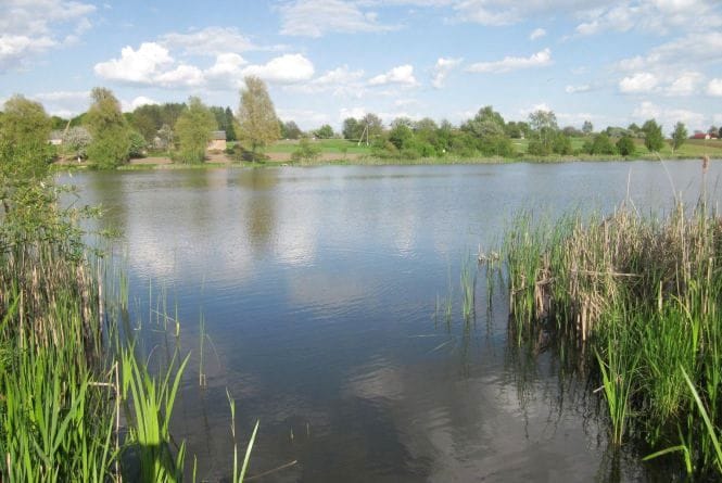 104475443 3504492069580724 417082255124266642 n