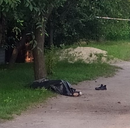 o 1ec0iafcnf4jpug11fk655o082a