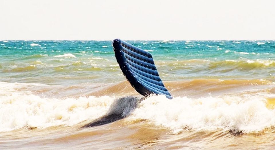 106460715 4351450058206194 8858852817822435927 o