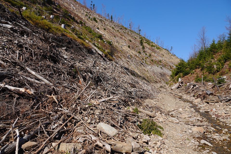 107330690 297344044735133 3656841940620542616 o