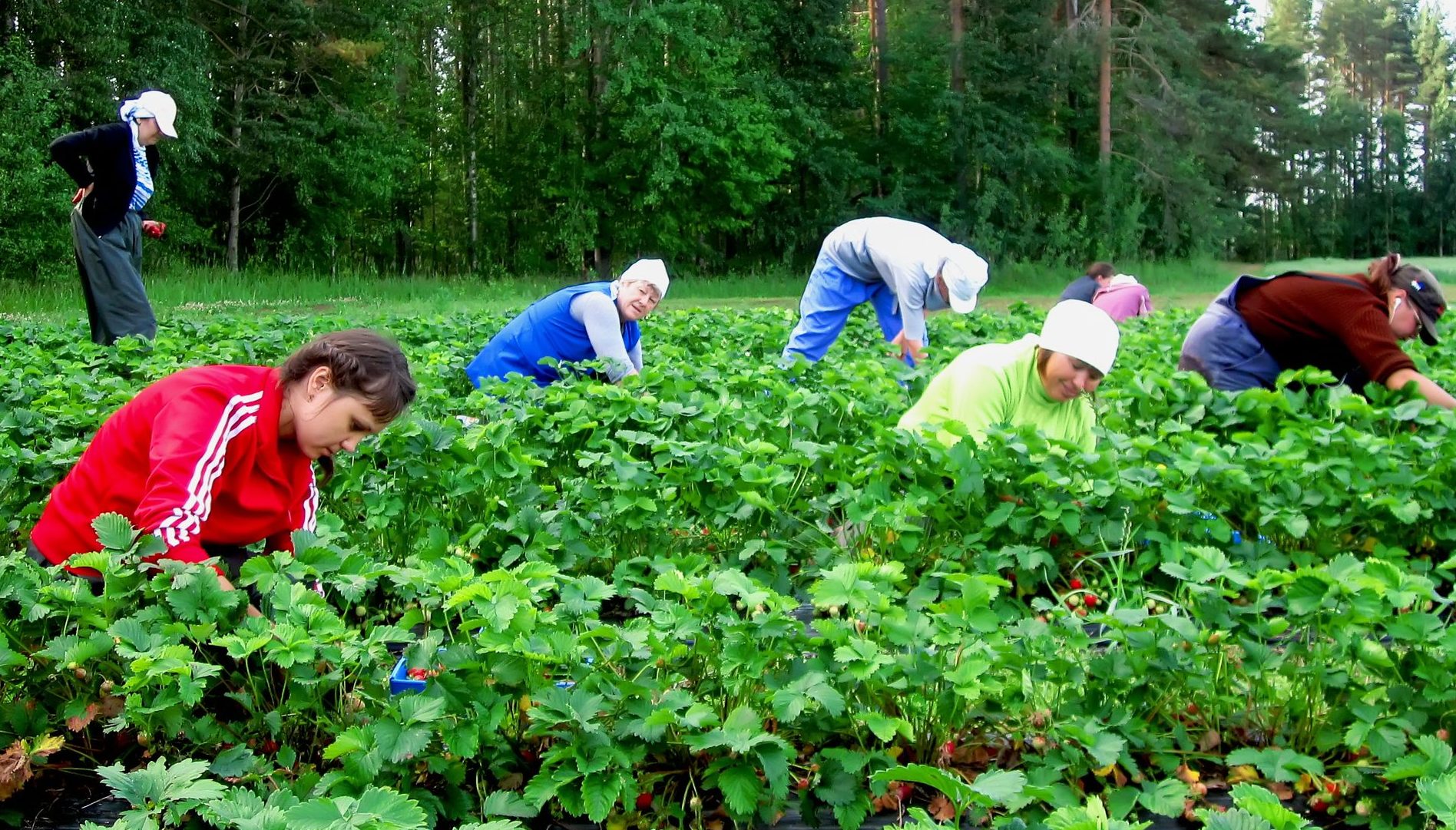 dreamstime l 72663055 e1588254148134