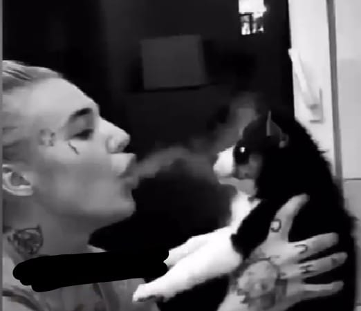 119728508 757035821814508 6665183029896030463 n