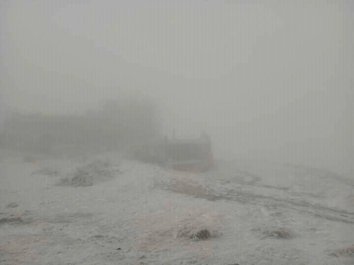 121605706 803802620421328 2916958026159727845 n