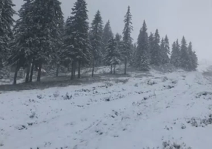 121986933 783080229210067 4766369898757855274 n