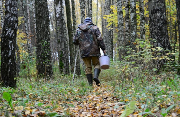 26114122.058153.1222