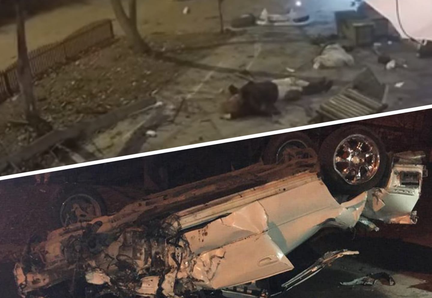 127798949 815633572621399 3622703824144524980 o