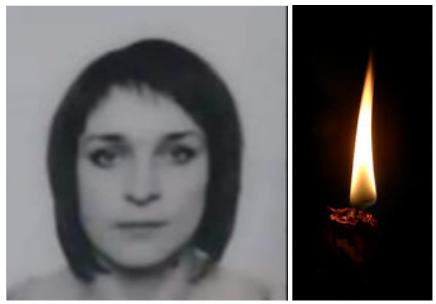 131903782 402659264403005 625257427521368780 o