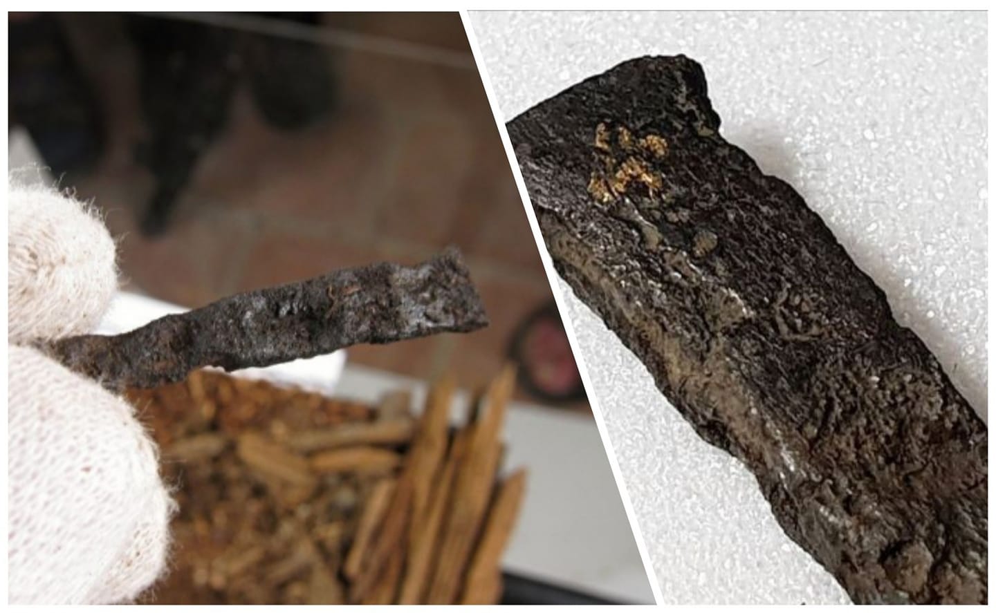 132642367 831377007713722 846095785847121272 o