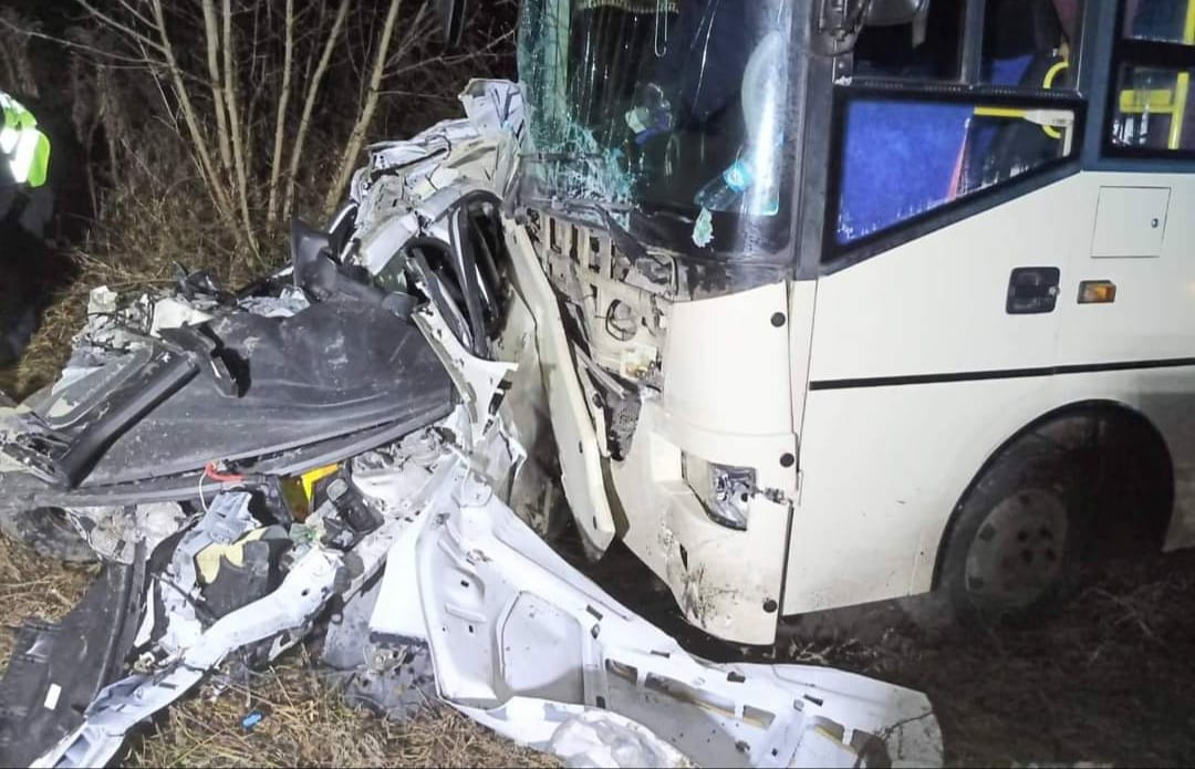 133515414 406264460709152 8016686969884560712 o