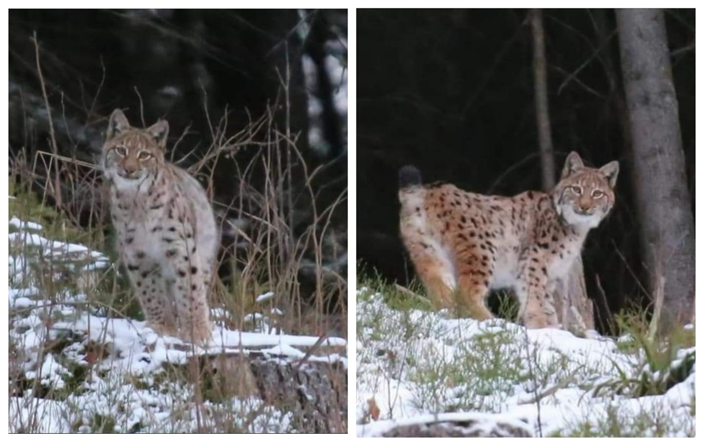 135882760 839698576881565 1054386621622582568 o