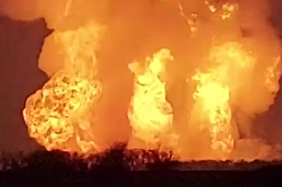 137606976 413255980010000 5108032826252081059 o