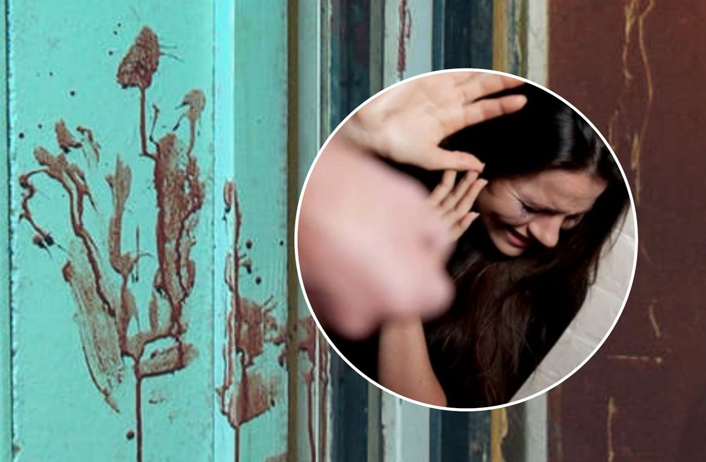 138410307 414907446511520 2568678562883811232 o