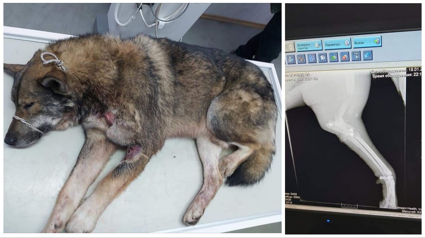 139846001 418816126120652 9003781055489378390 o