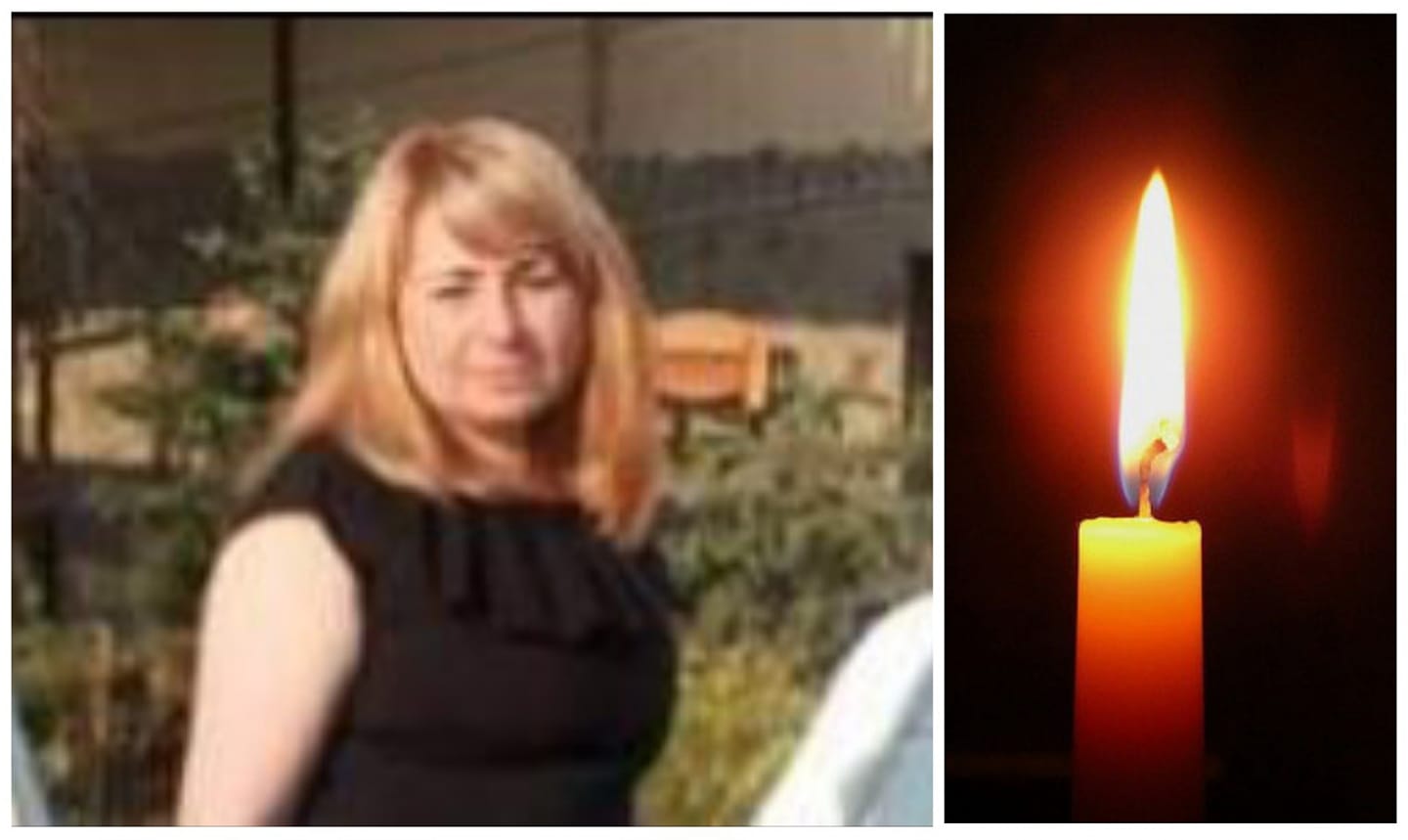 144003669 423825638953034 3753419848264601625 o