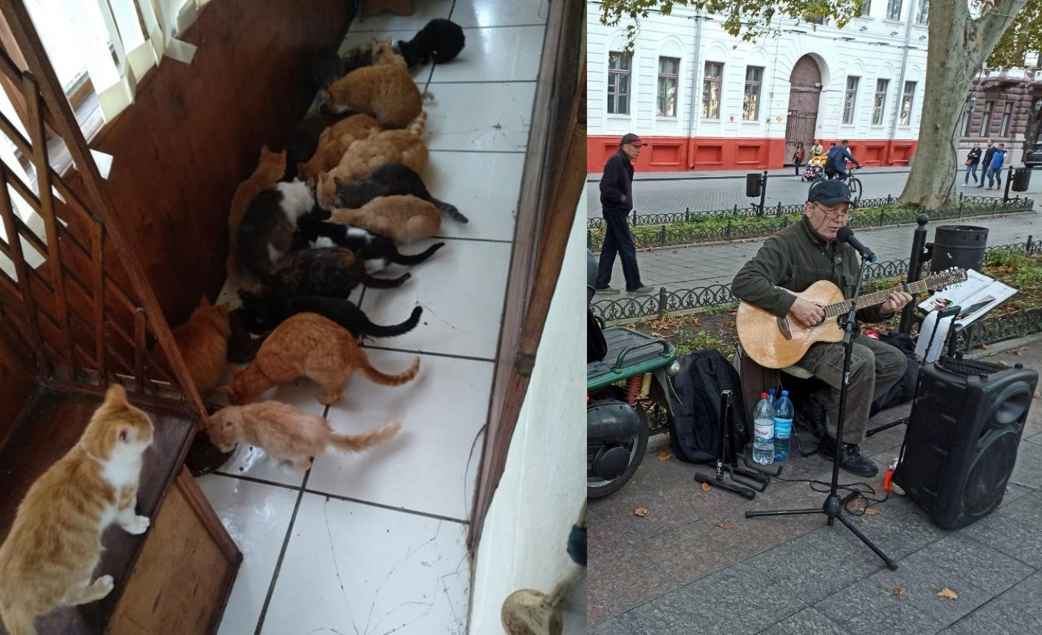 imgonline com ua 2to1 dGcli70rWcL