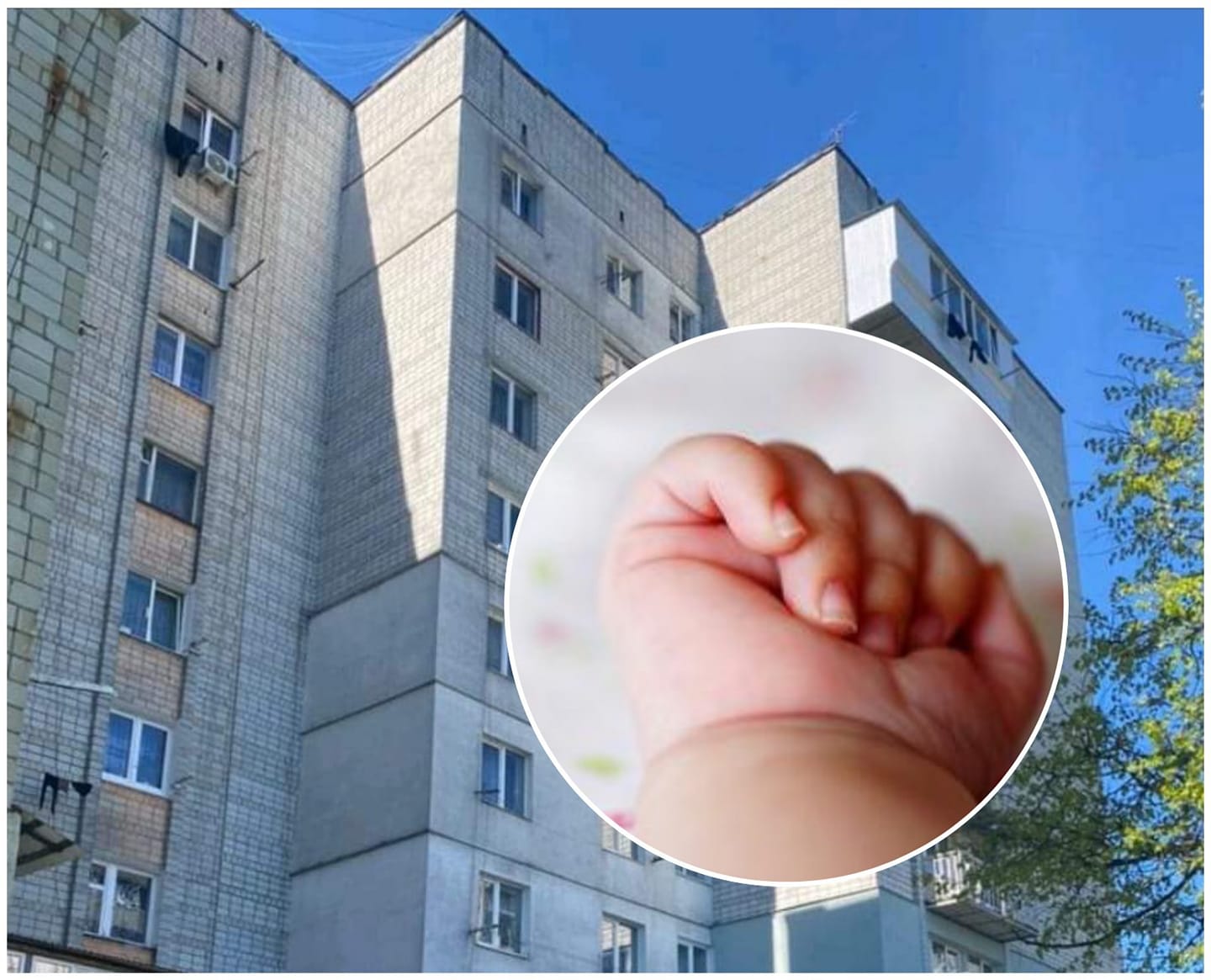 183589844 482916389710625 6097992214370627649 n