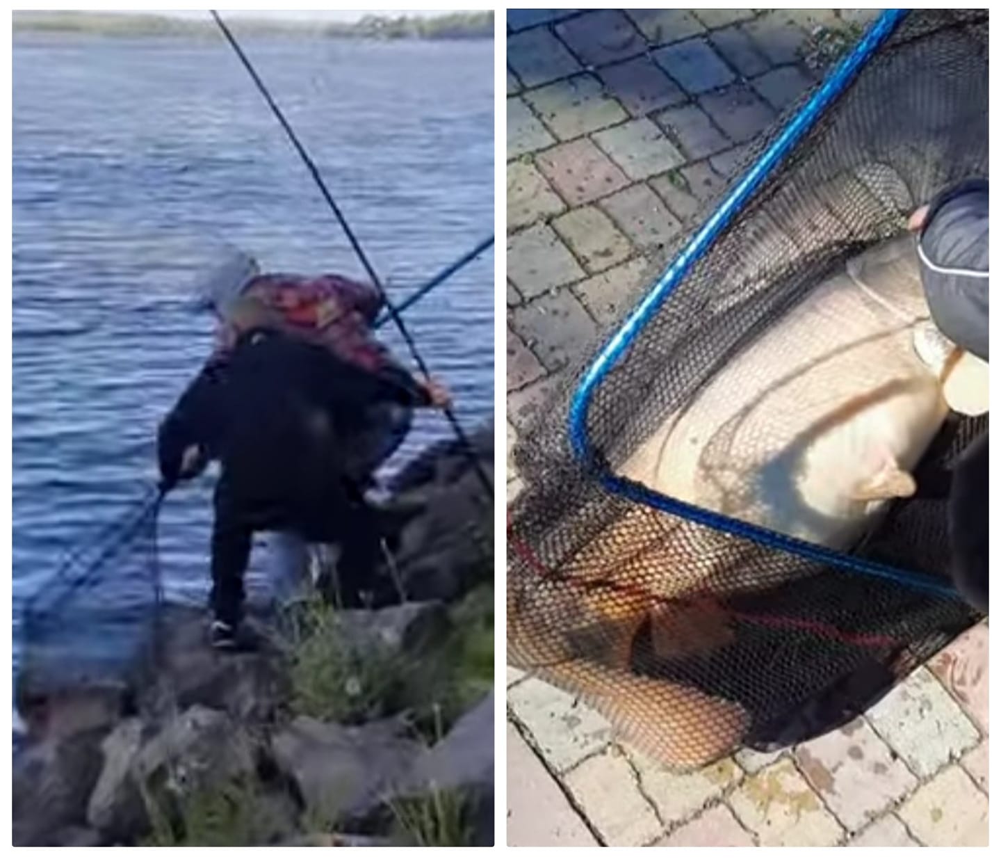 192990274 493194805349450 7648432475827972219 n