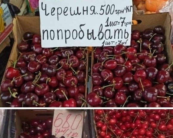 195457052 189166383127149 201930671035207991 n 2