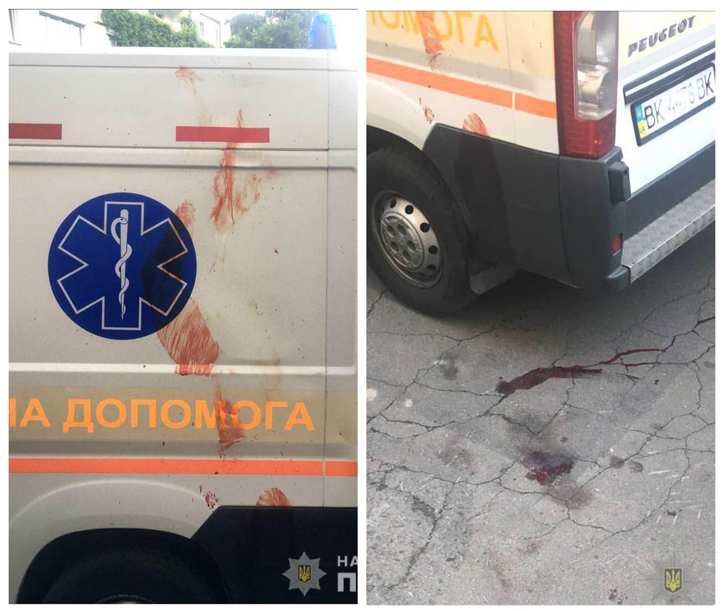 198612809 848334325773833 2894346456860952002 n