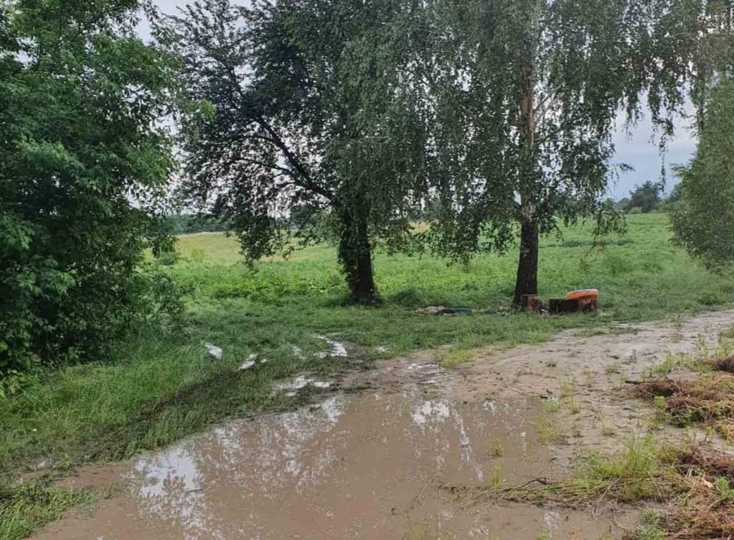 207836220 307988787528889 2752508261922163064 n