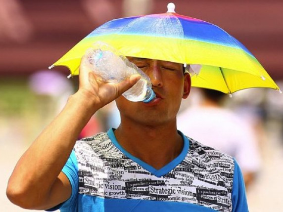 t 1 630 360 1469191083 5277 foto publikamd