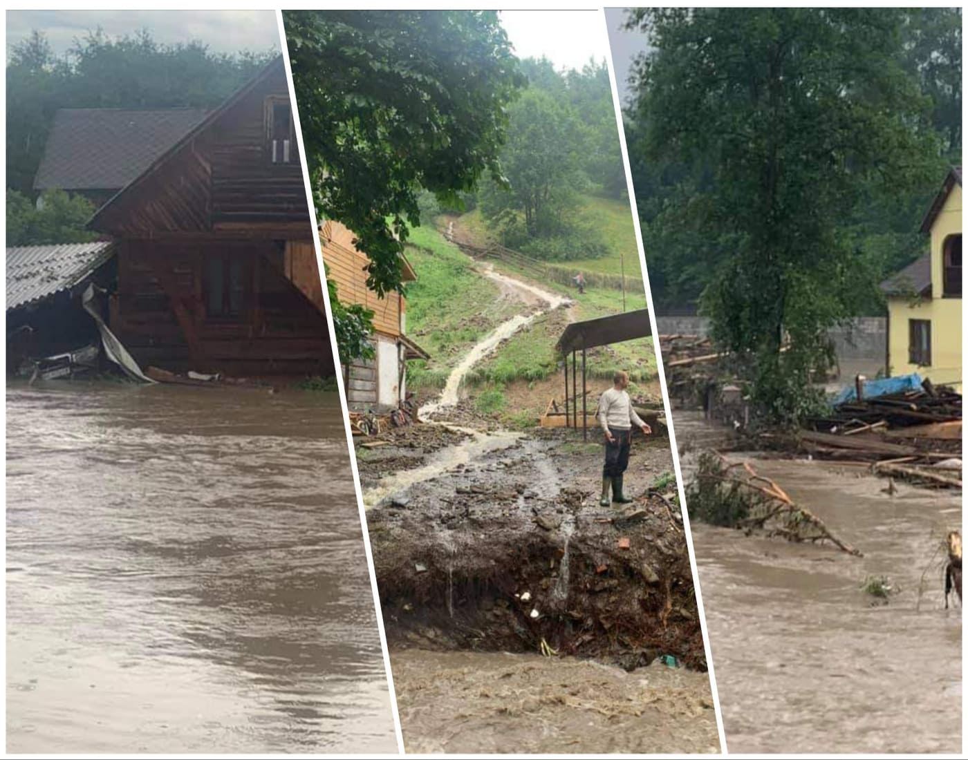 214248454 1094691637726749 4817419540436138597 n