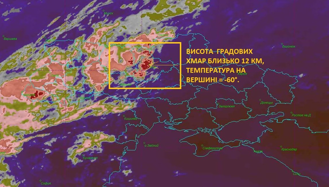 219371264 2933545720230340 1896208439807850334 n