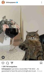 256901279 980085625904329 559065