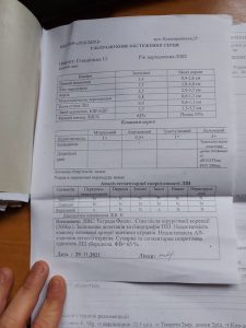 262193186 1278164819262815 7804545673189019765 n