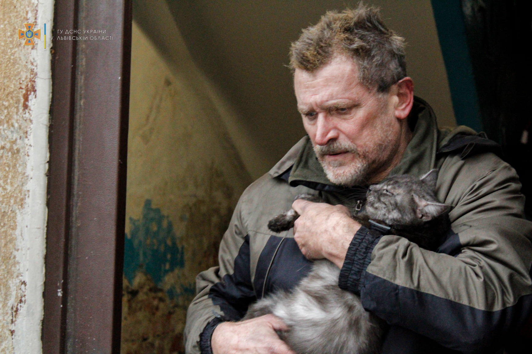 265195453 4644441065637357 7440272400919163061 n