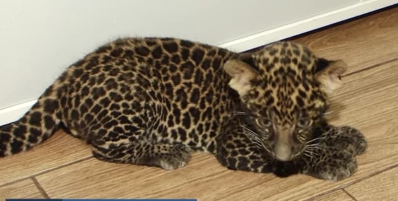 269750272 4638564306257461 3582862862641520815 n