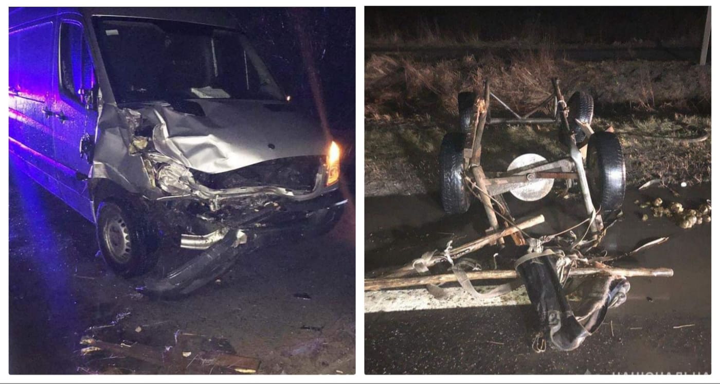 274235633 1037120723536113 3907772650577758103 n