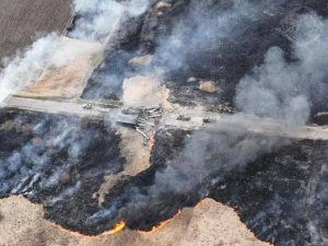 1649915815 278332577 394246959186245 592900467170146846 n