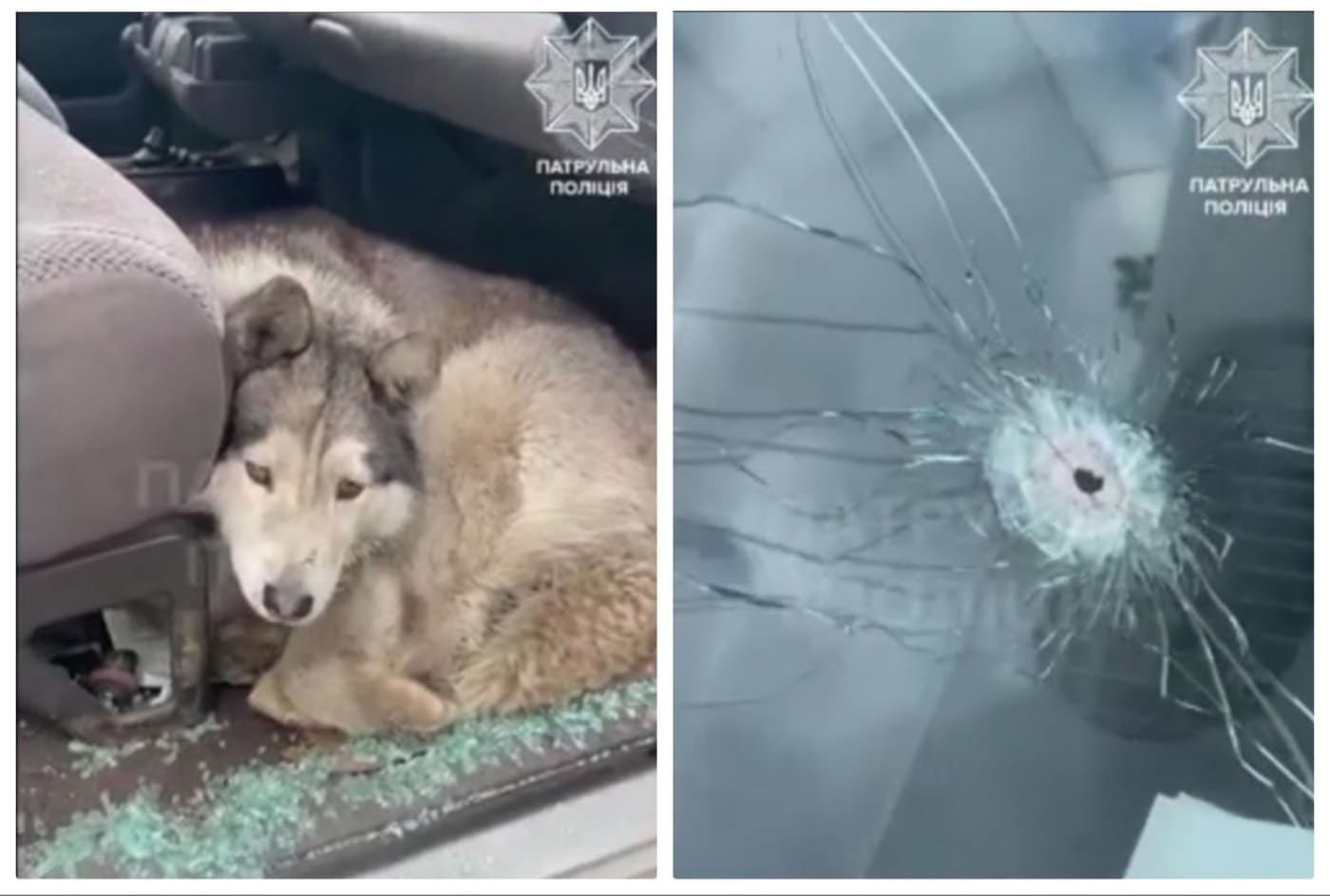 277693169 997464720873688 3509349618476140359 n