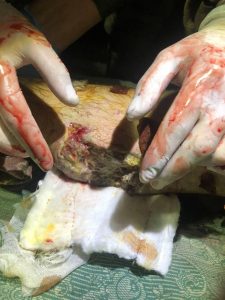 279079297 725054155347776 1106108302957953201 n