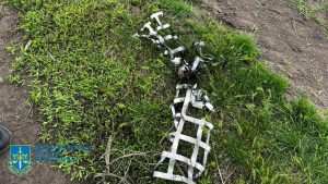 279515895 359641712865335 6099329296519331193 n