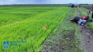 279592855 359641699532003 4335392321512678220 n