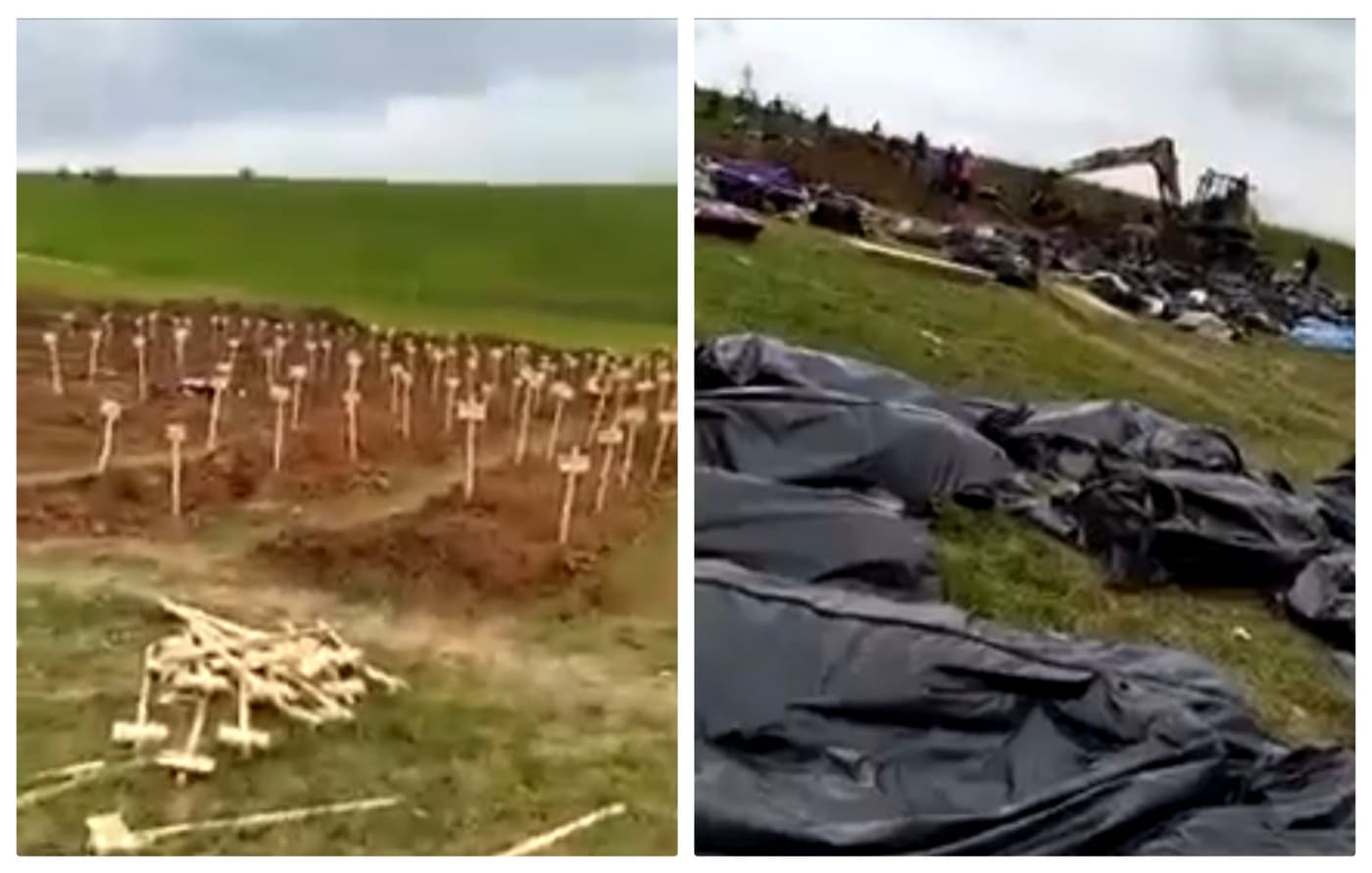 279520605 5066256933442373 7095507182602257463 n