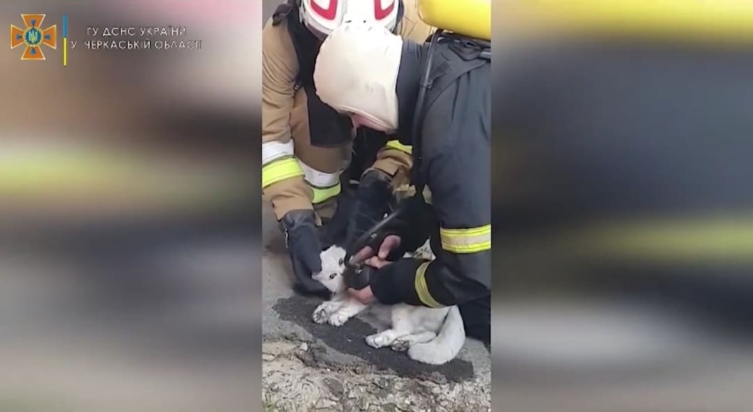 279901747 409245227683506 6991089986774184544 n