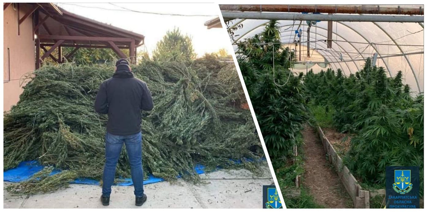 279911729 531407461817684 5282527183209027311 n