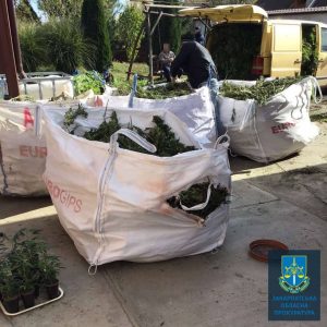 279930921 359804249516903 3115409808728129269 n