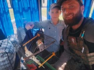 alt-волонтери