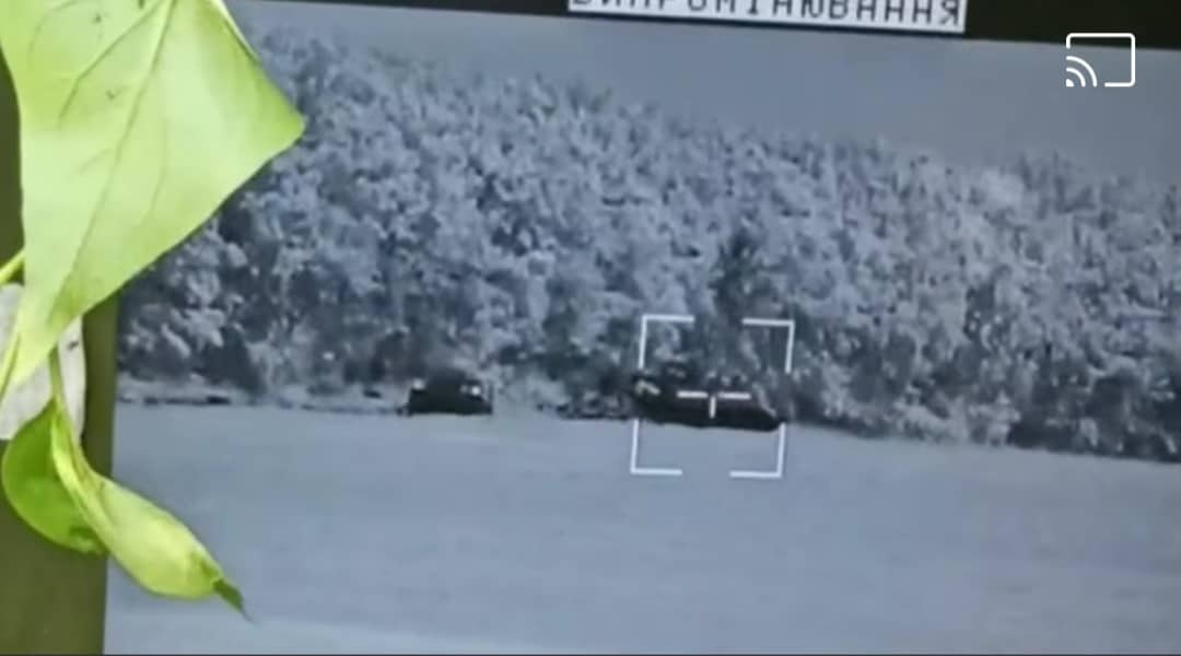 281514723 377295254440539 3308550834467957551 n