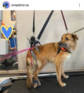 290978589 3258581364362182 92289355031698976 n