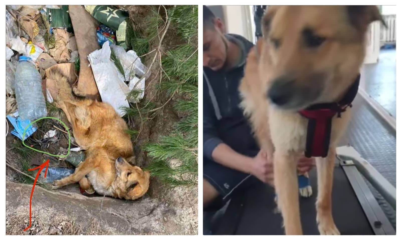 291540184 331017089245935 4420259517793127263 n