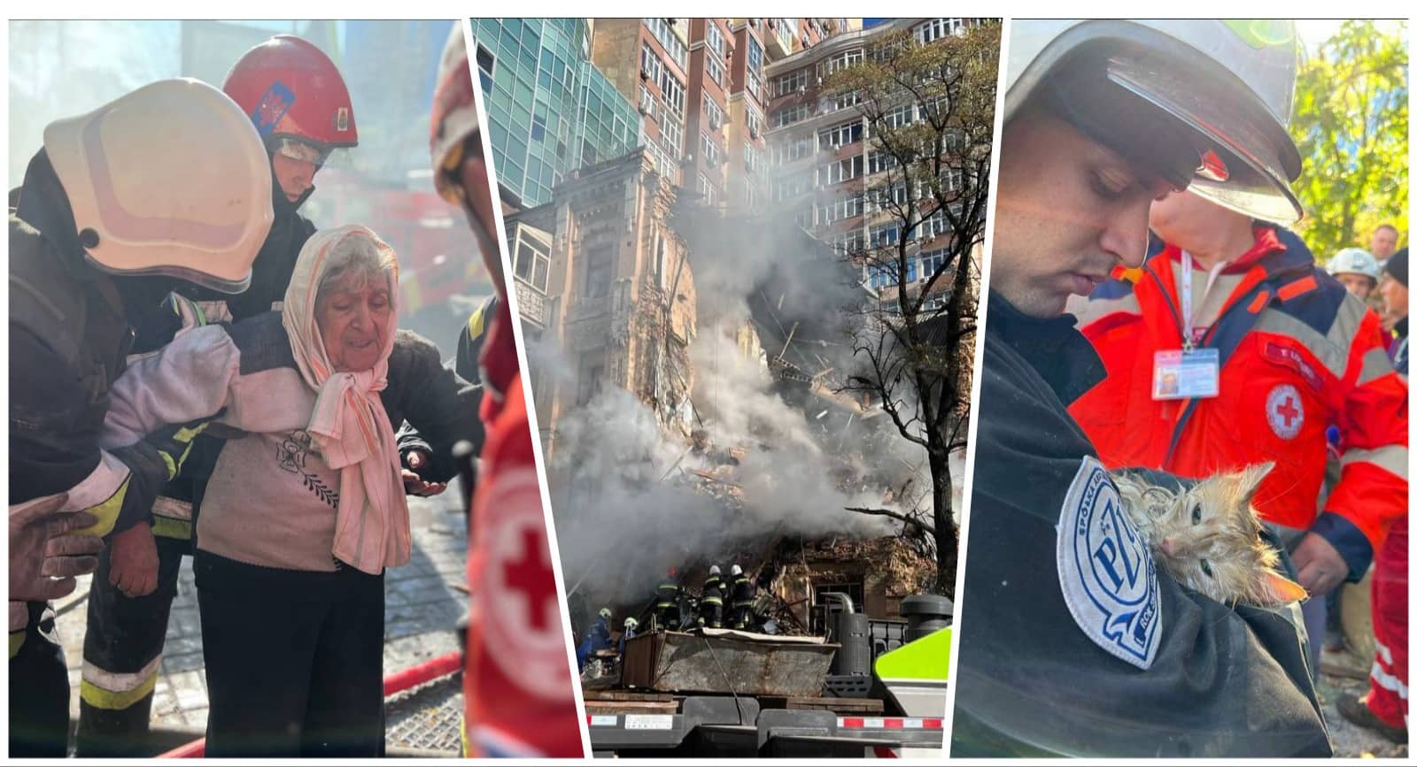 310813638 1132046217449897 4828067815979402694 n