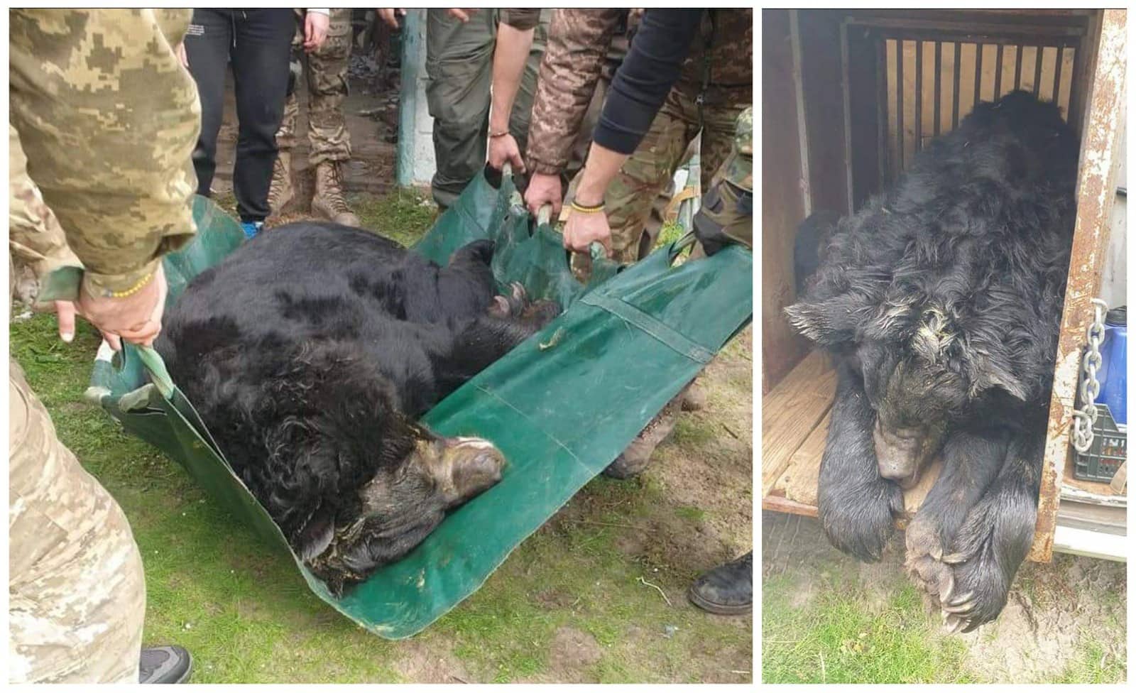 310834058 792135718711857 7093546658460410665 n